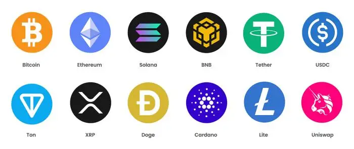 Vector logos of bitcoin ethereum solana bnb xrp dogecoin crypto coins on transparent background